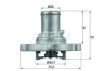 FIAT 46523118 Thermostat, coolant
